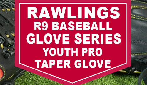 Rawlings R9 Baseball Glove Series